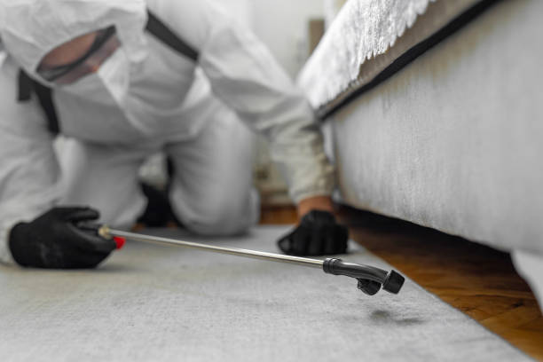 Professional Bed Bug Control technician working in Castle Rock, WA