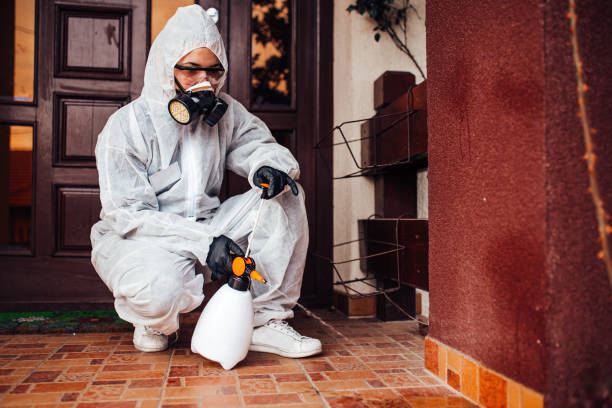 Reliable Bed Bug Control contractor in Castle Rock, WA by Nex Pest Control