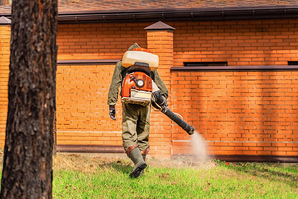 Trusted Emergency Pest Control service in Castle Rock, WA - Nex Pest Control